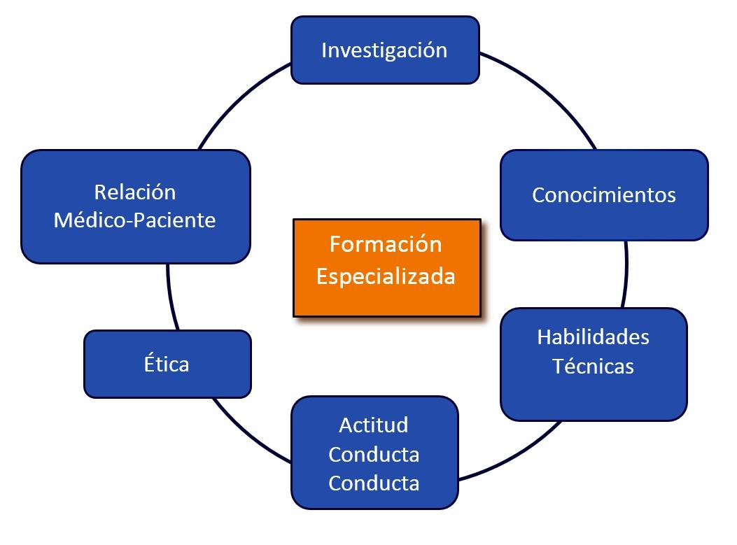 esquema_postgrado