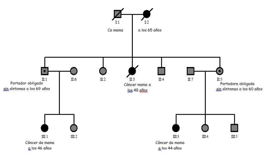 Ejemplo de arbol genalógico que se realiza en nuestra consulta para el  estudio de las Familas Completas