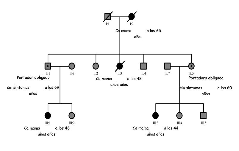 Ejemplo de árbol genealógico