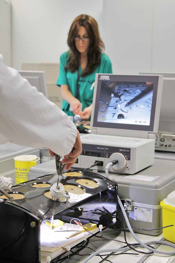 Entrenamiento en Simulación Clínica del hospital La Fe
