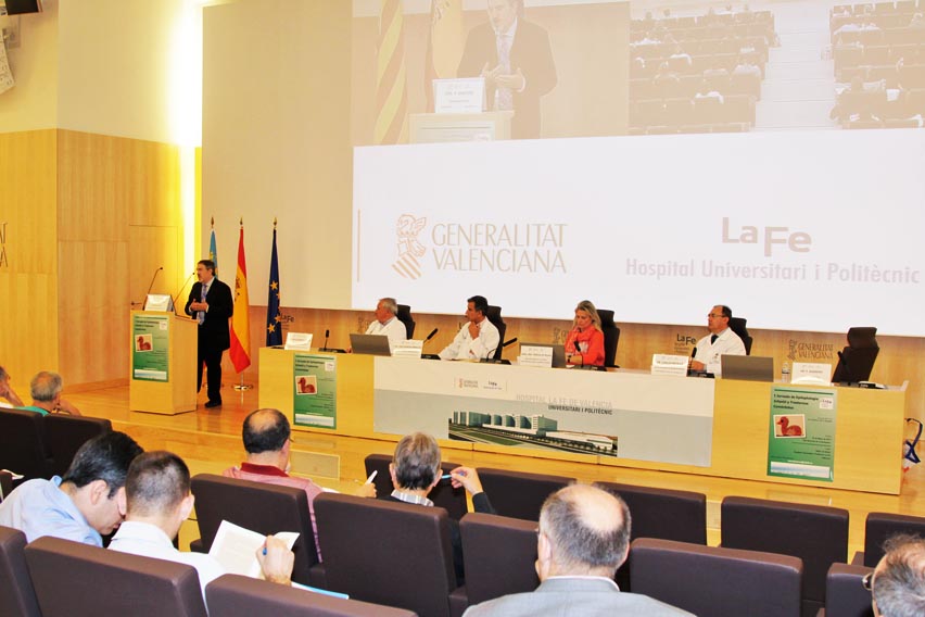 Jornada de epilepsia infantil en el Hospital La Fe