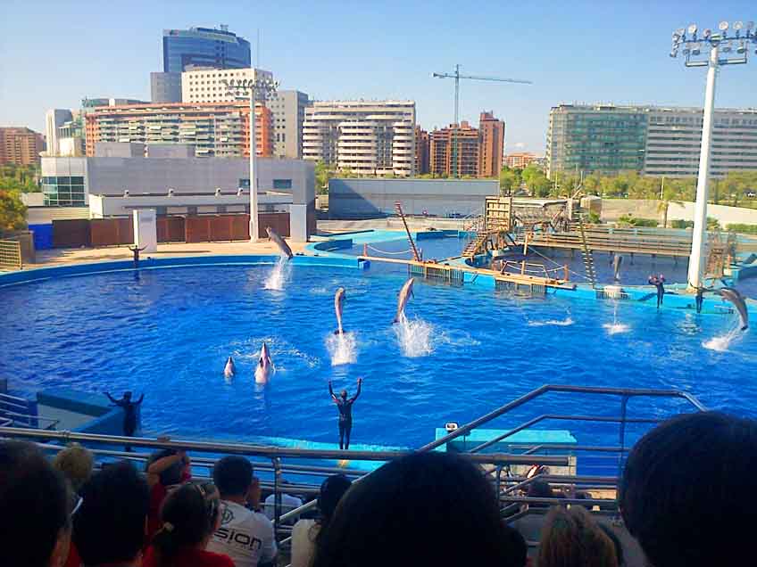 Niños crónicos de asociaciones de pacientes en el Delfinario