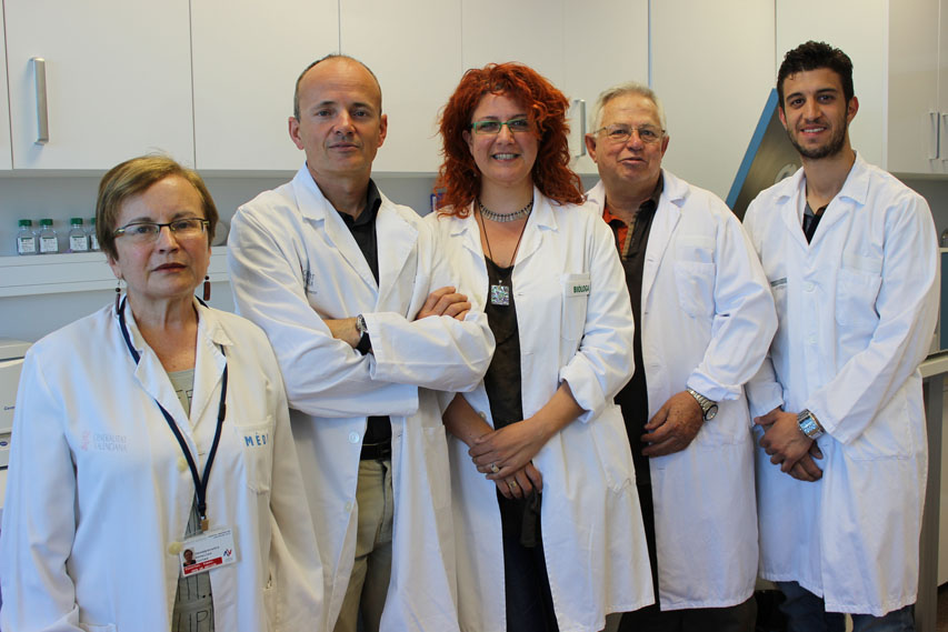 Investigación