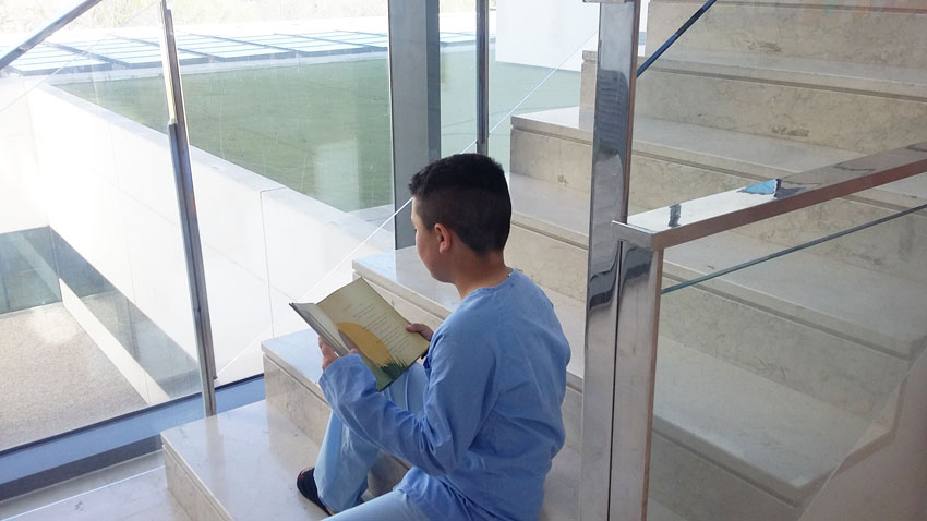 dia del libro infantil 2