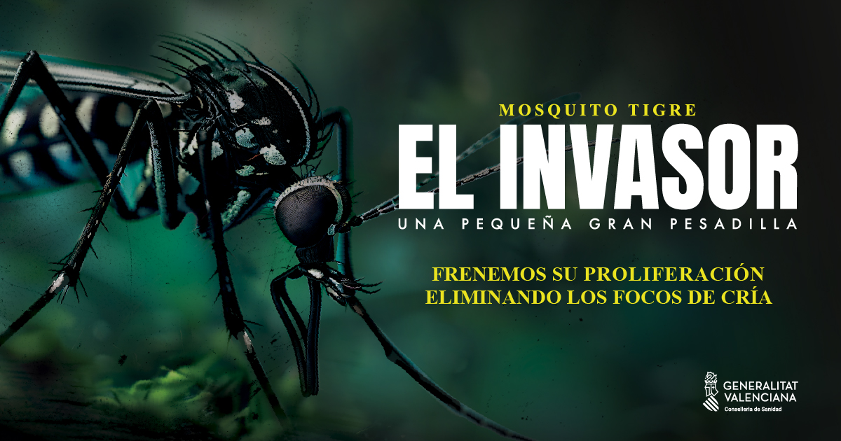 Mosquito tigre